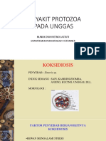 Penyakit Protozoa, Unggas