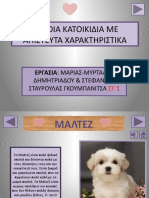 ΕΡΓΑΣΙΑ POWER POINT - ΜΥΡΤΑΛΗ & ΣΤΕΦΑΝΙΑ