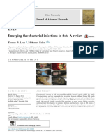 Emerging Avobacterial Infections in Fish: A Review: Journal of Advanced Research