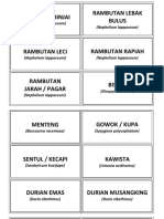 Nama Buah Dan Latinnya