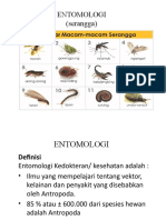 ENTOMOLOGI