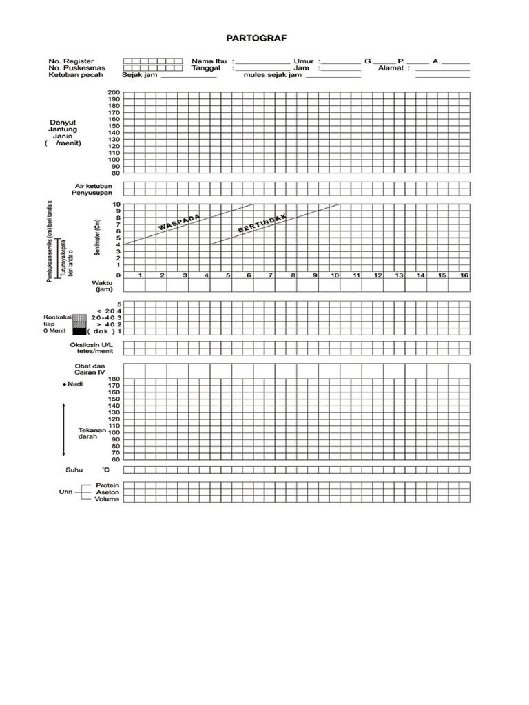 Form Partograf | PDF