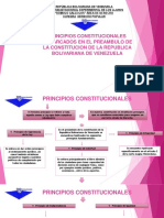 Mapa Conceptual Principios Constitucionales