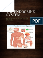 The Endocrine System