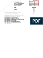 Pasivo y Capital Formatos