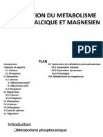EXPLORATION DU METABOLISME PHOSOPHCALCIQUE ET MAGNESIEN.pdf1