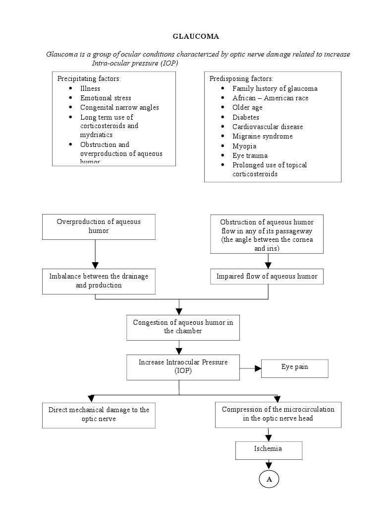 Understanding Glaucoma Causes and Effects | PDF