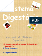 Sistema Digestivo