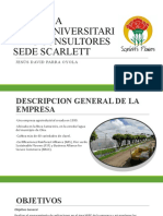 Diapositivas Practica Extrauniversitaria MG Consultores