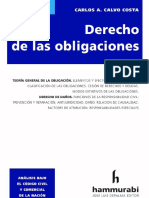 Derecho de Las Obligaciones. 2020. Carlos Calvo Costa