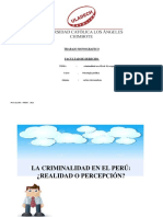 Criminalidad en El Peru 1