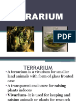 Biotechniques 03 - Terrarium