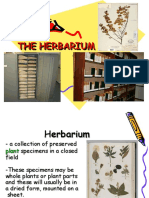 Biotechniques 04 - Herbarium