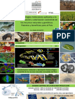 Biotecnología molecular de recursos naturales peruanos