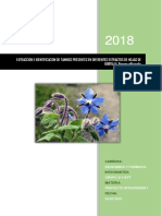 Extracción e Identificación de Taninos Hojas de Borraja 