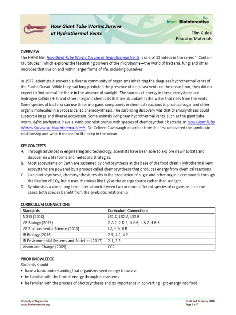 Giant Tube Worms Pdf Hydrothermal Vent Deep Sea