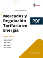 Brochure Regulaciontarifariaenenergia