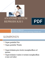 Anfis Sistem Reproduksi I