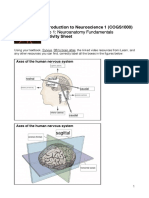 Lab 1: Neuroanatomy Fundamentals: Introduction To Neuroscience 1 (COGS1000) Activity Sheet