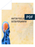 Anatomy Physiology of Neuro