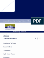 Agile Scrum: Saifallah El Mouelhi, Faculty of Science of Tunis