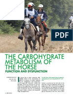 The Carbohydrate Metabolism of The Horse: Function and Dysfunction