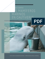 AWI ML CAMMIC 5th Edition Spanish