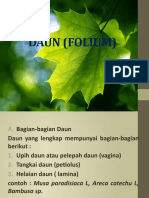 Daun Folium