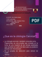 Citologia Cervical - Trab. Ginecologia