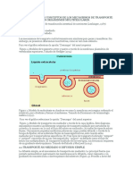 Absorcion Intestinal