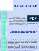 Colibaciloza-suină