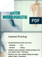 Anfis Muskulo Skeletal