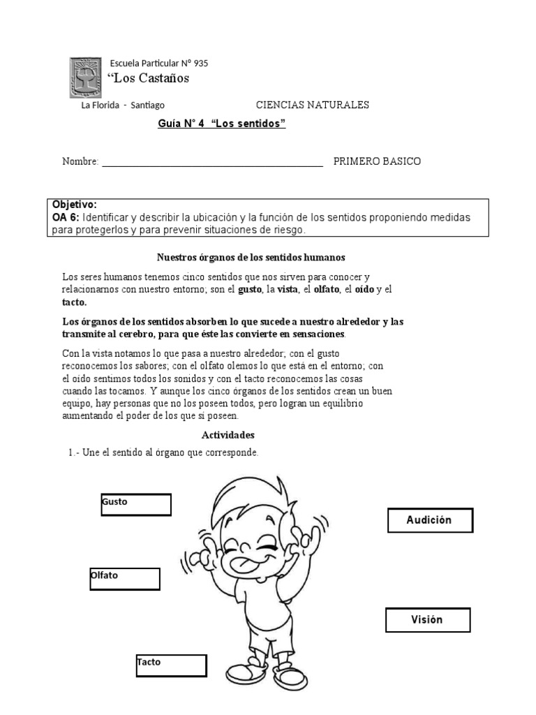 Guía de los Sentidos para Primero Básico | PDF | Relaciones personales ...