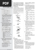 Aprovar ano05 livro19 012