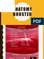 Anatomy-Booster-HO