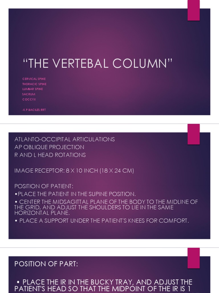 The Vertebal Column Pdf Vertebra Vertebral Column