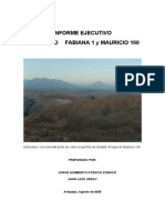 Arequipa - Informe Final Fabiana 1 y Mauricio 100 (2008)
