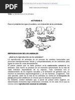 Guia Ciencias Grado 5°