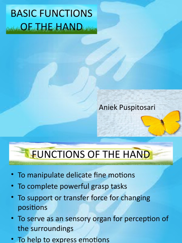 #1 Basic Functions of The Hand-1 | PDF | Thumb | Finger