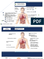 Bacterias y Enfermedades