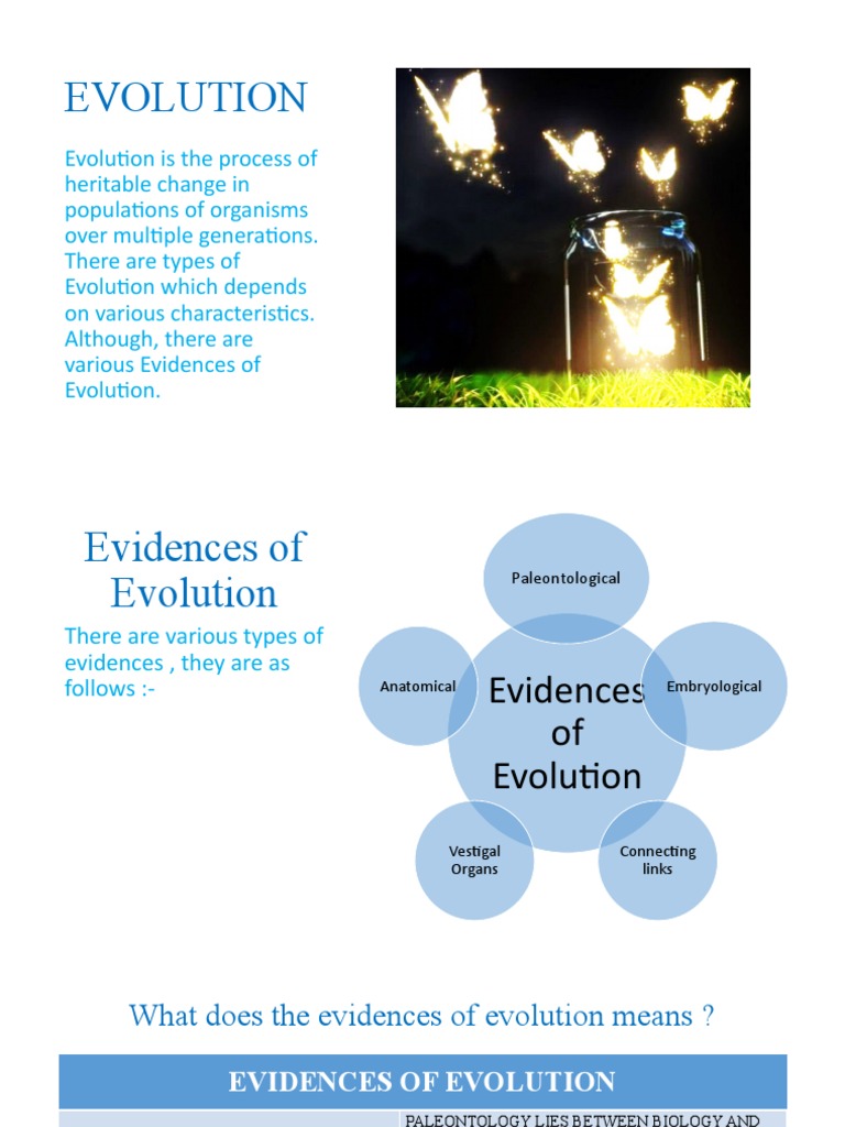 EVOLUTION | PDF
