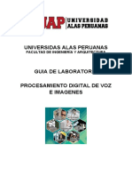 Guia de Laboratorio de Pdvi