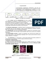 Les Procaryotes 2020 - 2021