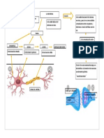 Mapa de La Neurona.