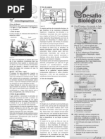 Aprovar ano05 livro22 005