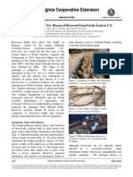 Boxwood Blight PDF