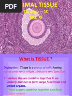 ALTERNI Newsletter (Issue3)  PDF  Honey  Gout