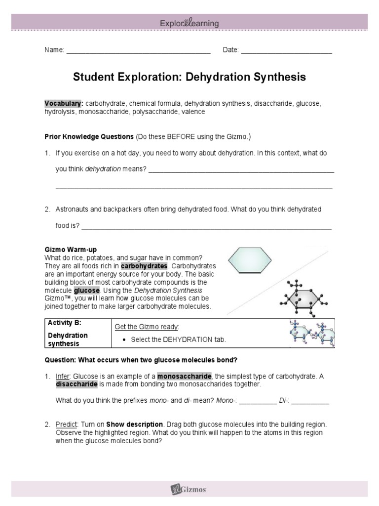Student Exploration Dehydration Synthesis Answer Key