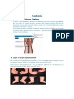 Anatomía Cuestionario