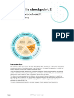 Skill Check Point Audit Risks